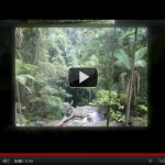 Video Marketing on Squidoo