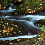 Share Content with your Circles Via the Google Plus Stream