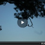 image of Animoto HD video - View from Montville