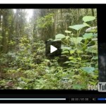 video player thumbnail